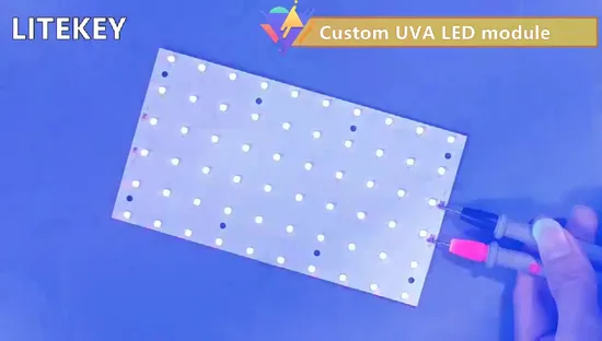 Modulo LED UVB 308nm 310nm 12V 50MW 80MW per supplemento di calcio per animali domestici